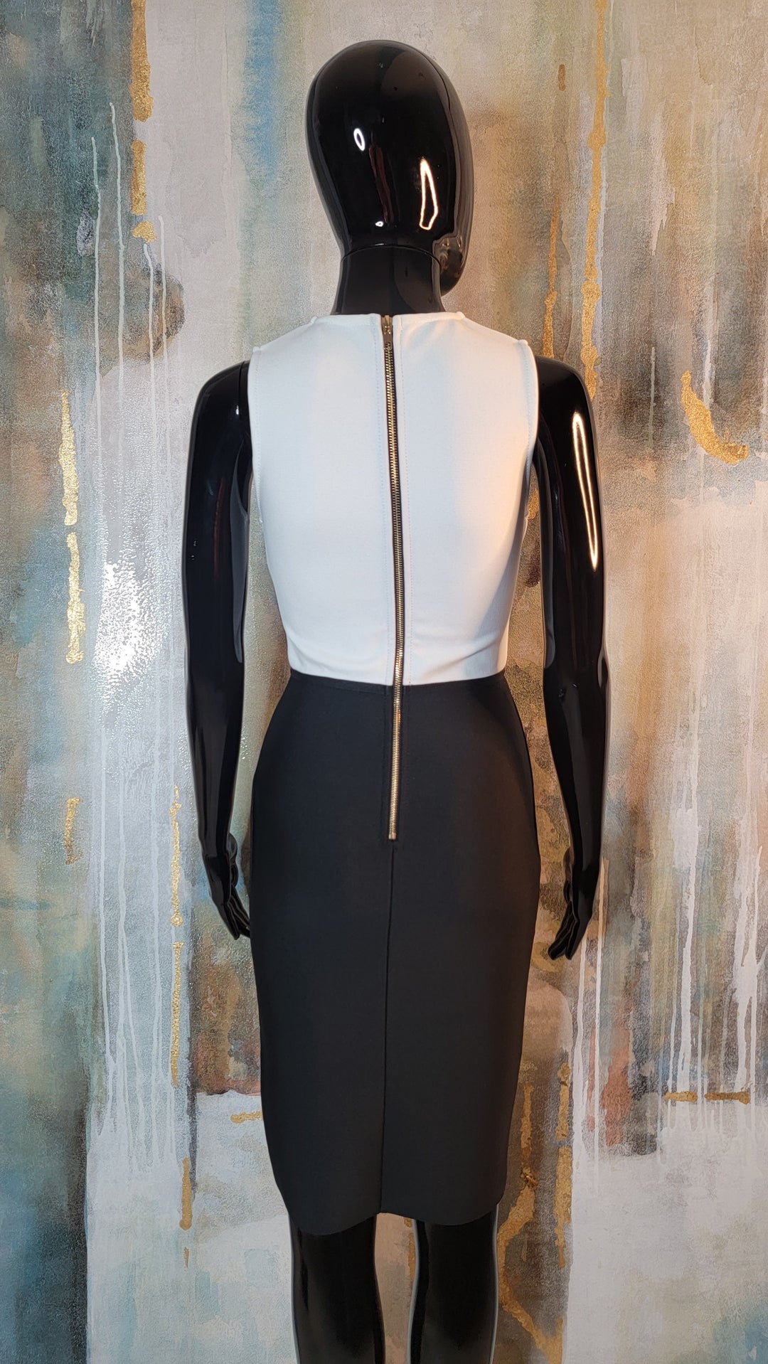 Color Block Mesh Waist Bandage Dress (Auction)